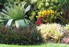 Bray Park QLDorganic-gardening-14.jpg; ?>